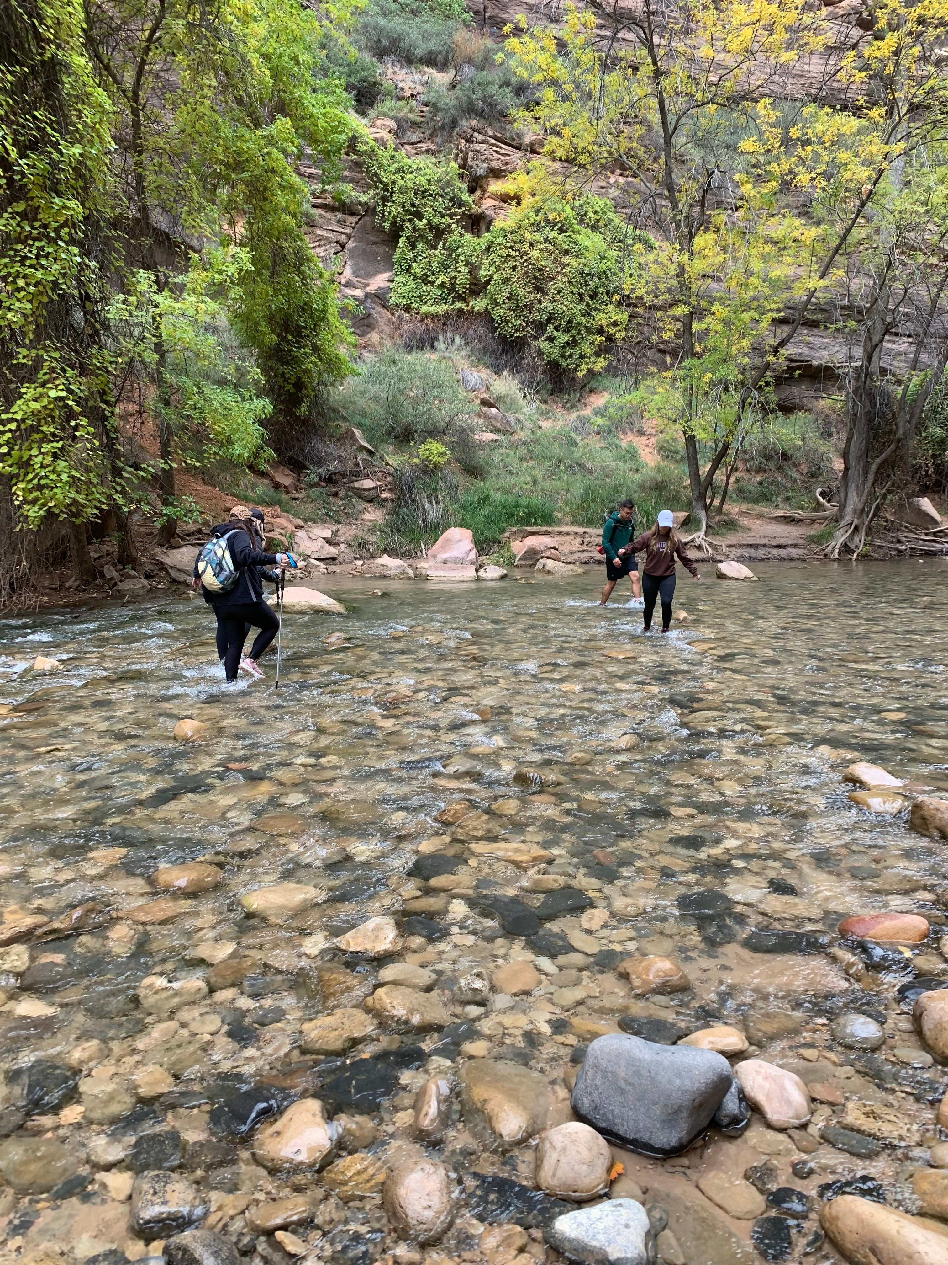 Zion NP